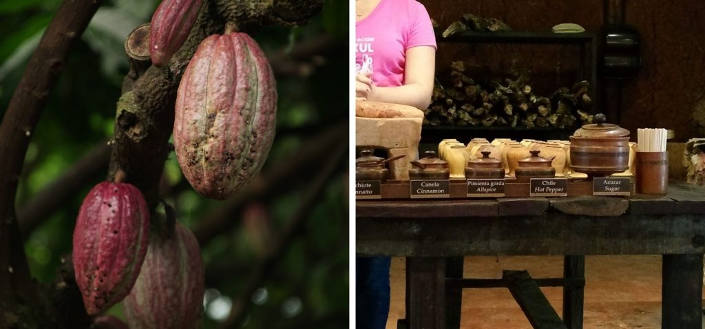 Ceremonia parzenia kakao w Choco-Story w Uxmal